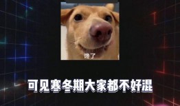 娱乐八卦吃瓜群