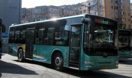 美国新闻爆料大连公交车,美国新闻揭露惊人真相