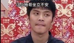 辛巴爆料三只羊视频,三只羊背后的惊人真相