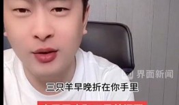 辛巴爆料三只羊视频,三只羊背后的惊人真相