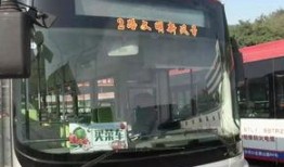 美国新闻爆料大连公交车,美国新闻揭露惊人真相
