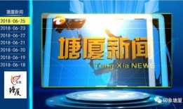 塘厦新闻网爆料,揭秘塘厦最新动态与热点事件