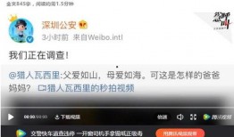 深圳头条王先生爆料视频,王先生视频揭露惊人内幕