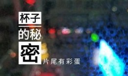 常州饭店爆料视频播放,揭秘酒店内部惊人真相
