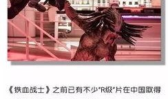 中国r片在线观看,伦理争议与监管挑战