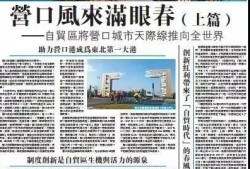 营口新闻最新爆料,重大事件背后真相揭晓！