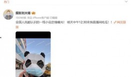 八卦圈爆料恋情视频大全,明星情侣甜蜜瞬间大盘点