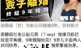 梁静茹离婚闺蜜爆料视频,闺蜜爆料视频揭露惊人真相