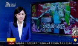辽宁都市直播在线观看,实时呈现城市风采，尽享在线观看盛宴