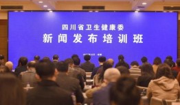 模拟新闻爆料怎么做好,深度解析