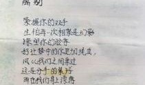 老板日记爆料大全最新版,揭秘企业内幕与真实故事