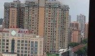 东莞阳光网最新爆料,揭秘东莞某重大事件内幕