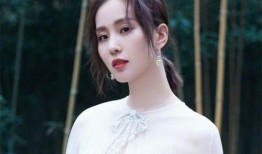 刘诗诗爆料肖战视频大全,视频大全揭秘