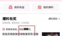 淄博头条今天爆料视频下载,今日热门视频下载攻略